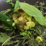 Avocado-Tatar mit Auberginen & Wildkräutersalat