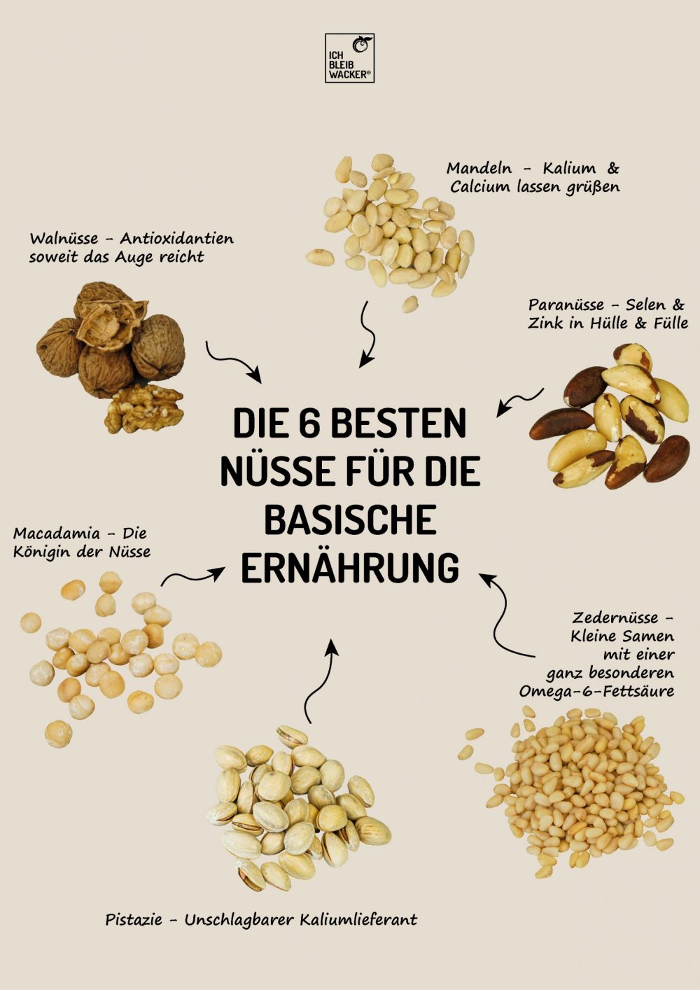 Infografik_Nüsse