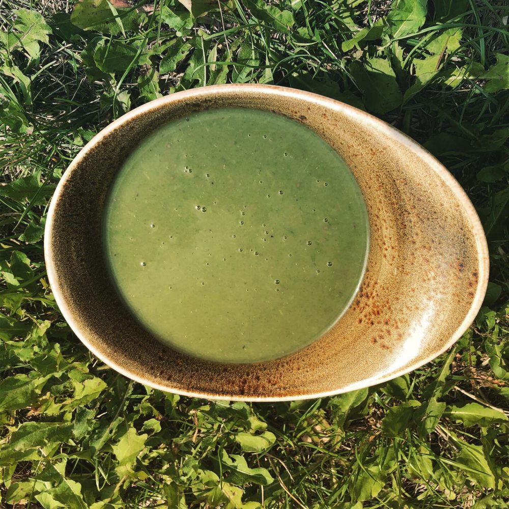 Suppe aus Vogelmiere "Unkrautsuppe"
